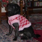 Weihnachten-2020 (2)